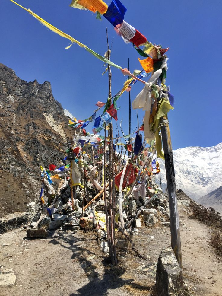 Kanchenjunga Base Camp Trekking (1)