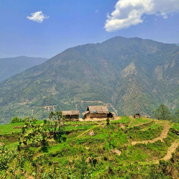 Short Kanchenjunga Circuit Trek