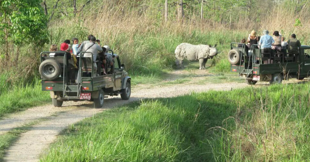 Chitwan Lumbini Pokhara Tour